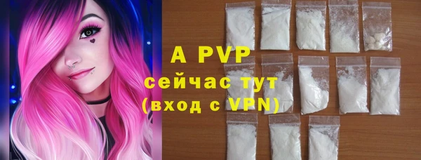 стафф Богданович
