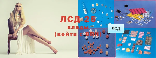 стафф Богданович