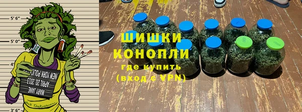 стафф Богданович