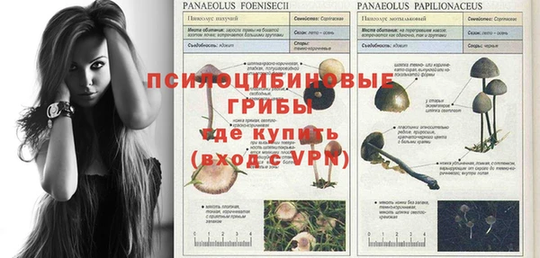 прущая мука Богородицк