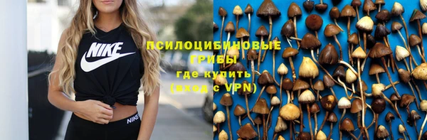 стафф Богданович