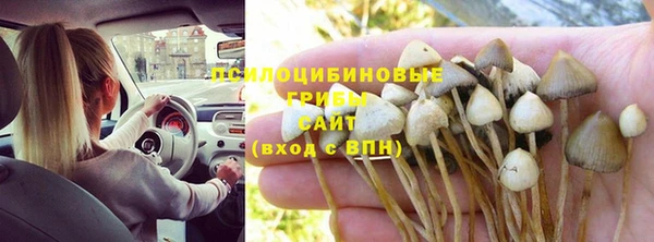 мдпв Бронницы